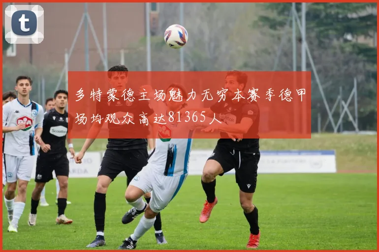 多特蒙德主场魅力无穷本赛季德甲场均观众高达81365人